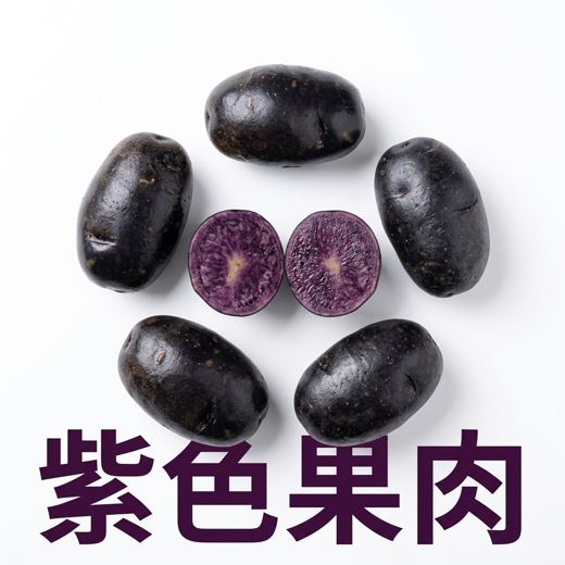 首图 C